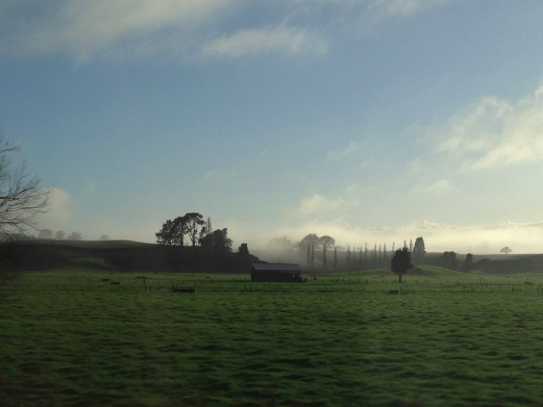 Amazing Bus Ride Through New Zealand!