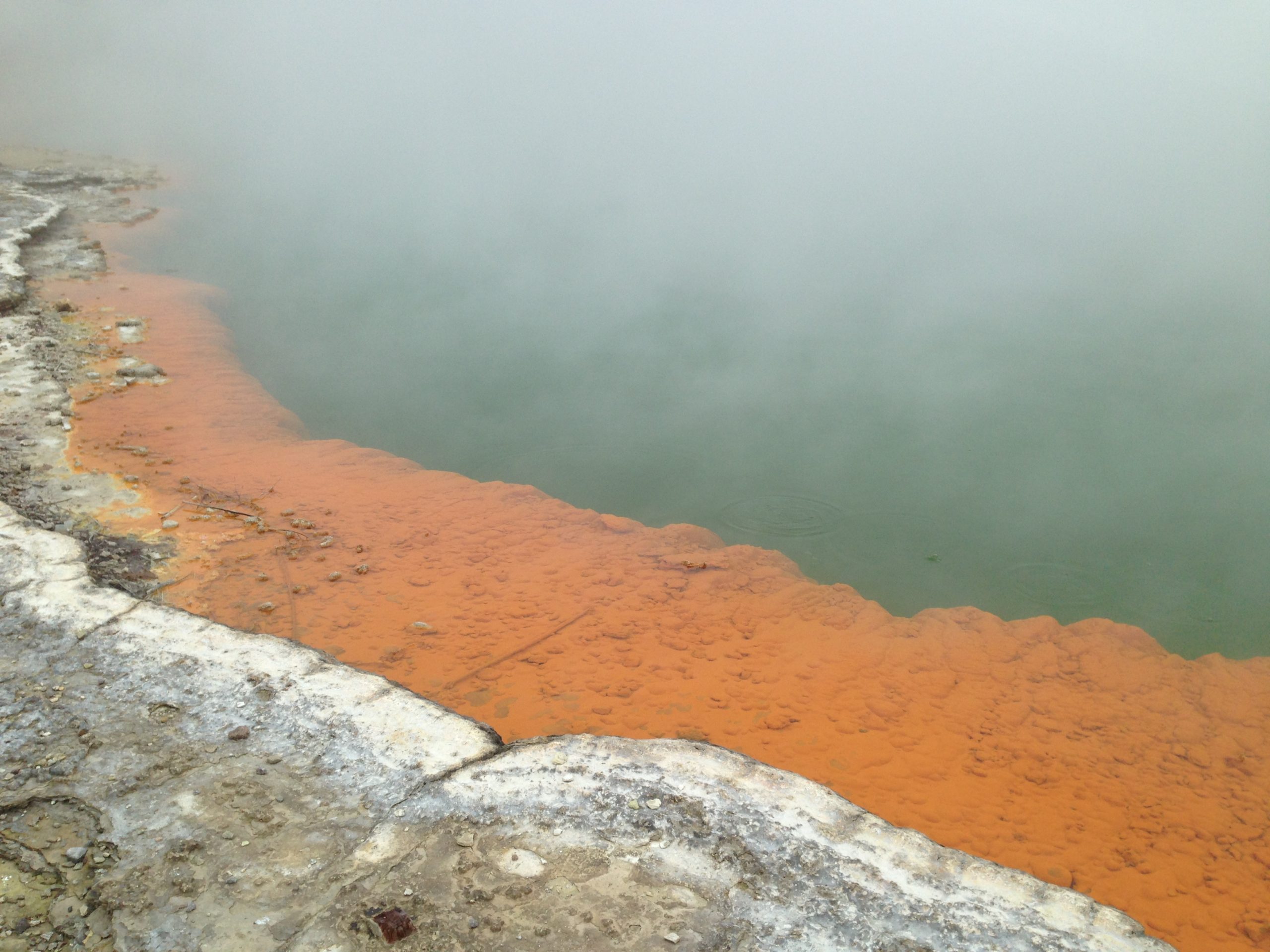 visit geothermal area wai o tapu geyser mud pool colourful lake rotorua new zealand