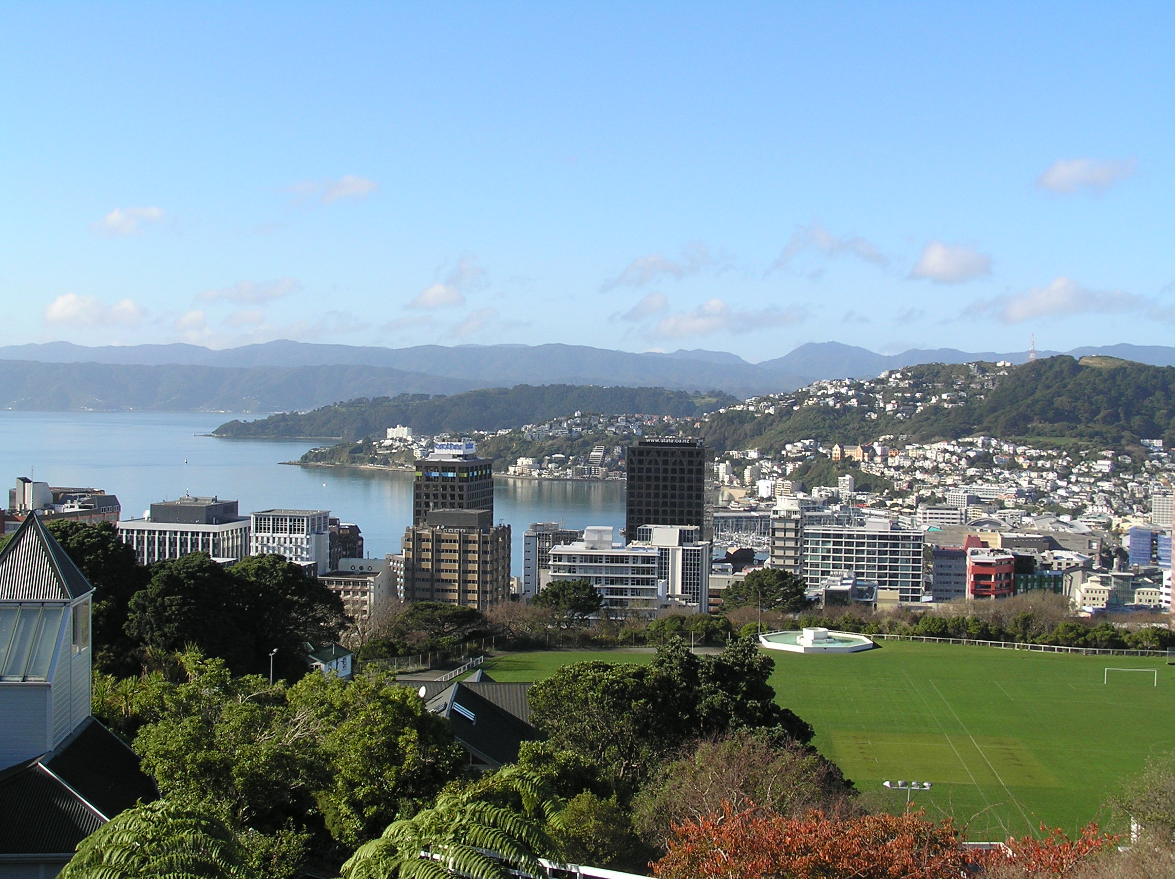 What’s Up in Wellington?