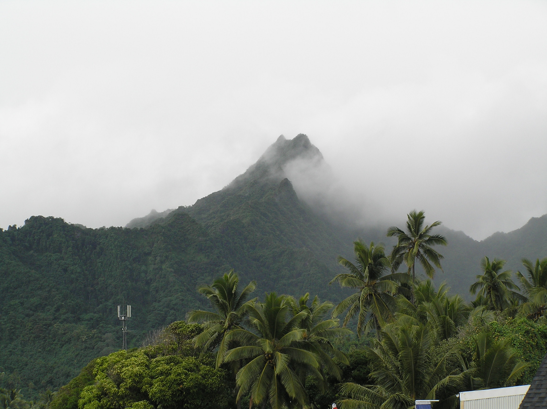 what to do see avarua rarotonga cook islands