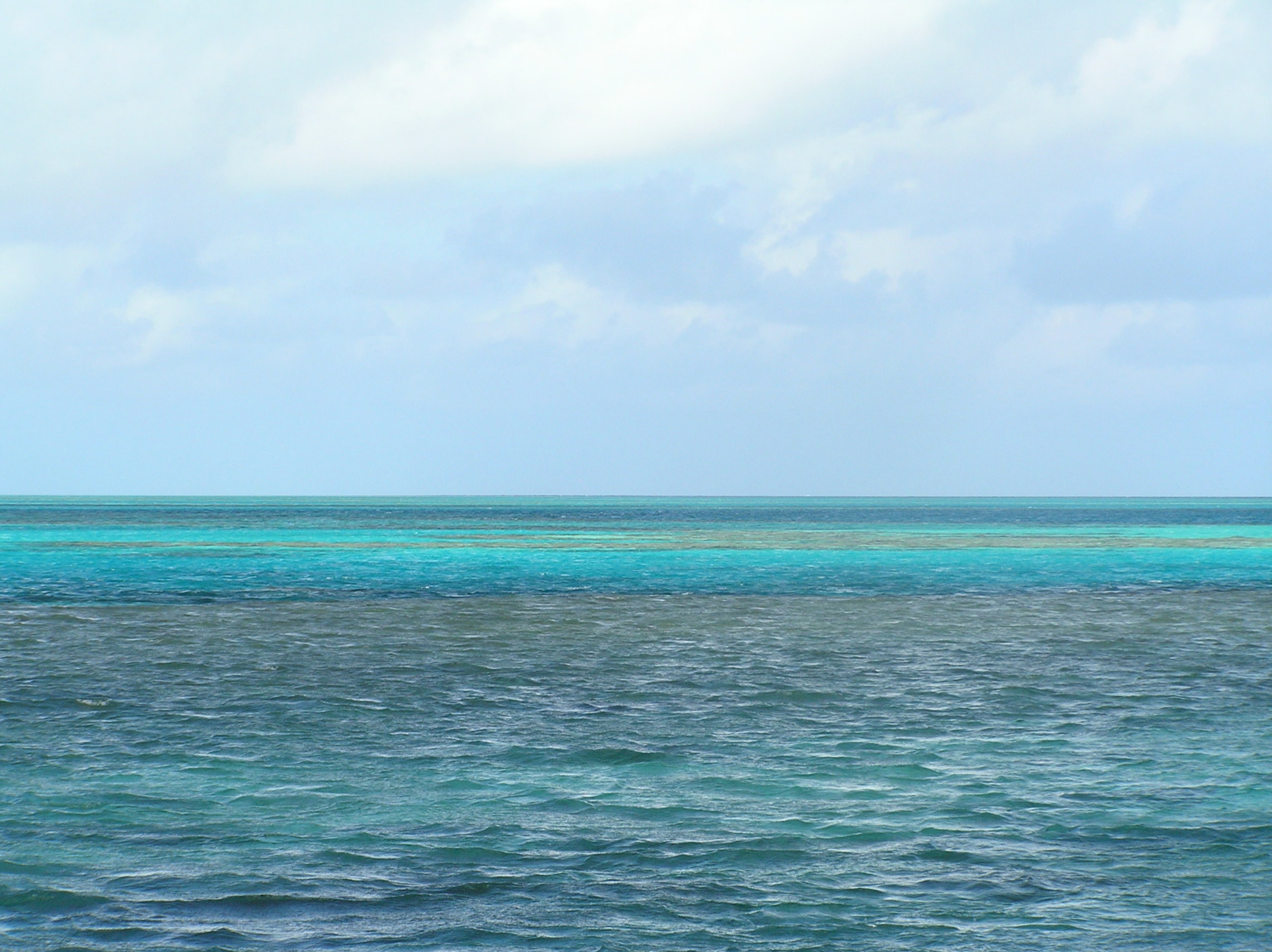 Great Barrier Reef!!