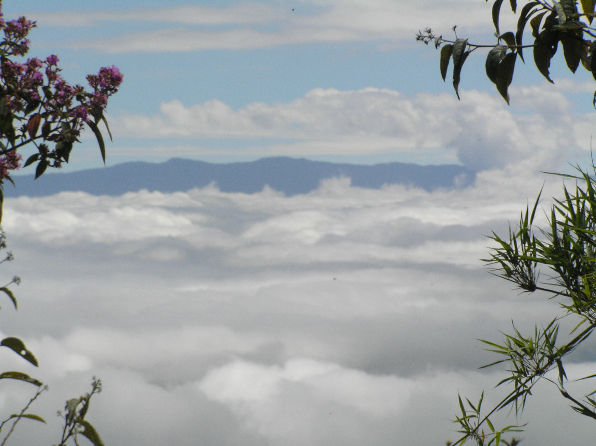 pululahua crater quito ecuador