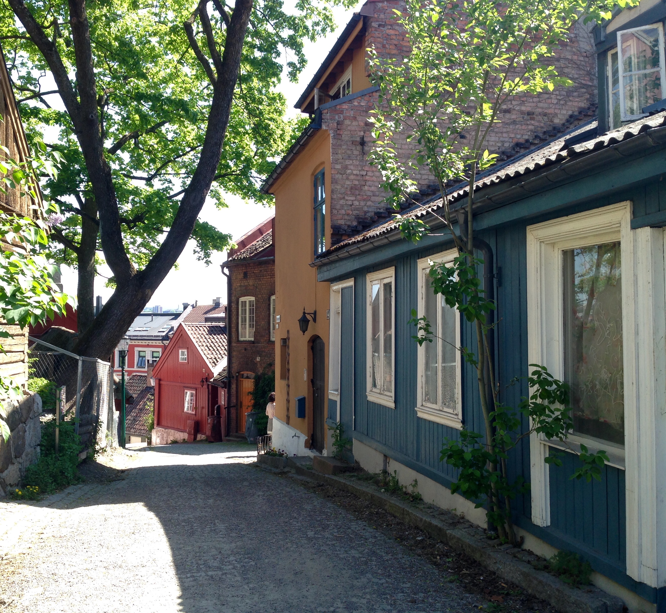 The Wooden Houses of Oslo