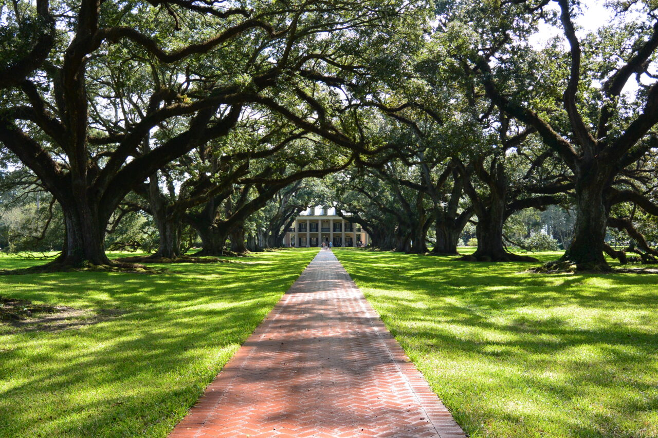 visit oak alley plantation vacherie louisiana usa