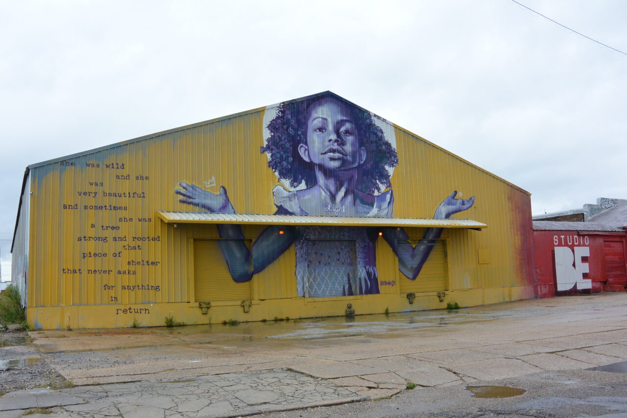 colourful neighbourhood Faubourg Marigny Bywater new orleans louisiana usa