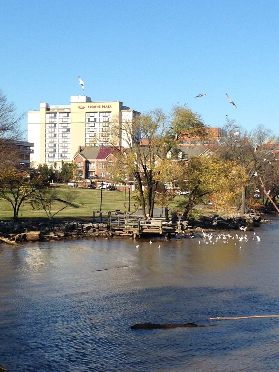 Riverside Old Town Alexandria Hotel