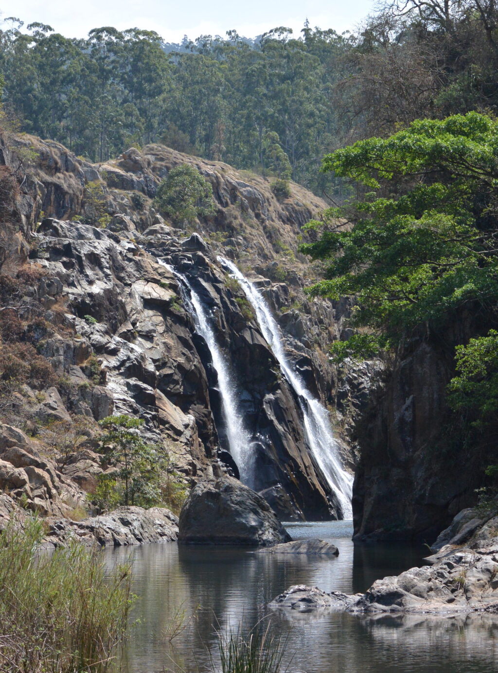 Mantenga Nature Reserve