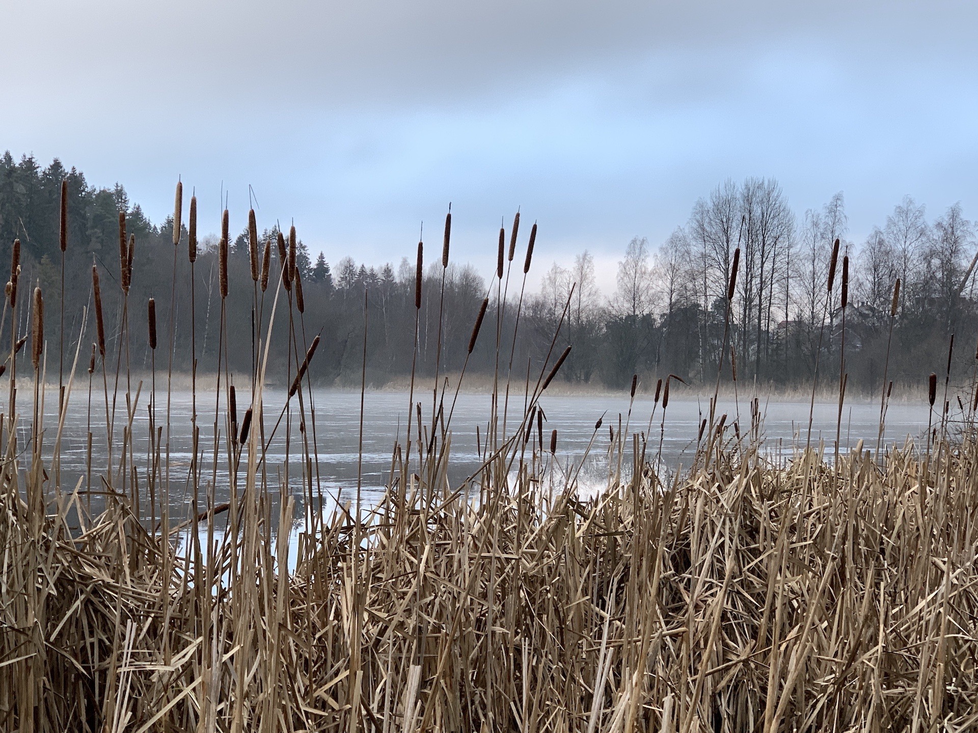 tips on what to do outside oslo city centre walk hike lake norway