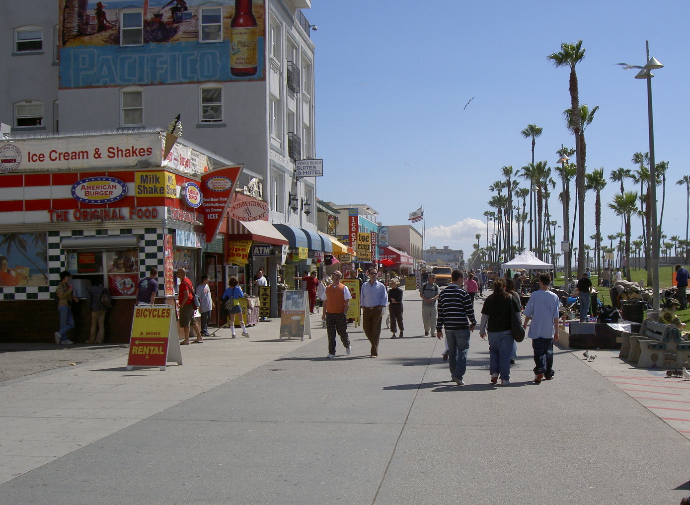 what to see do venice beach los angeles california usa