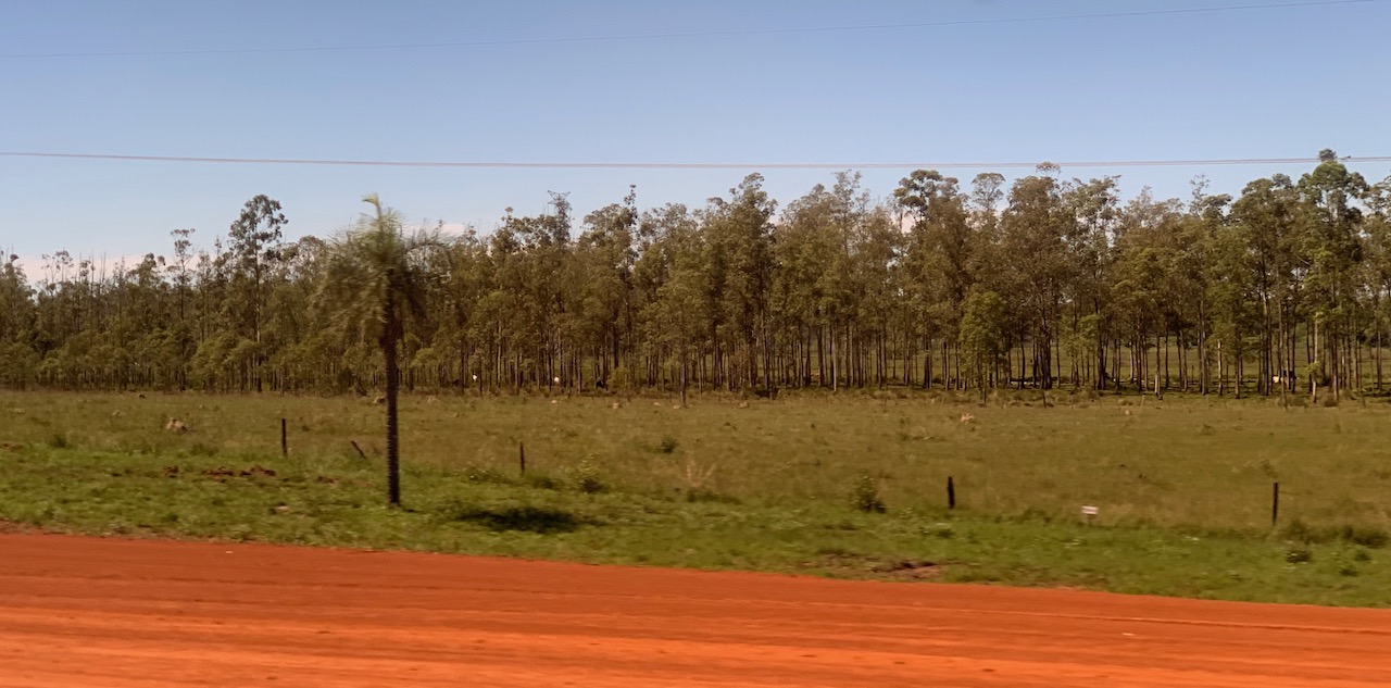 Moving from Paraguay to Brazil by Bus