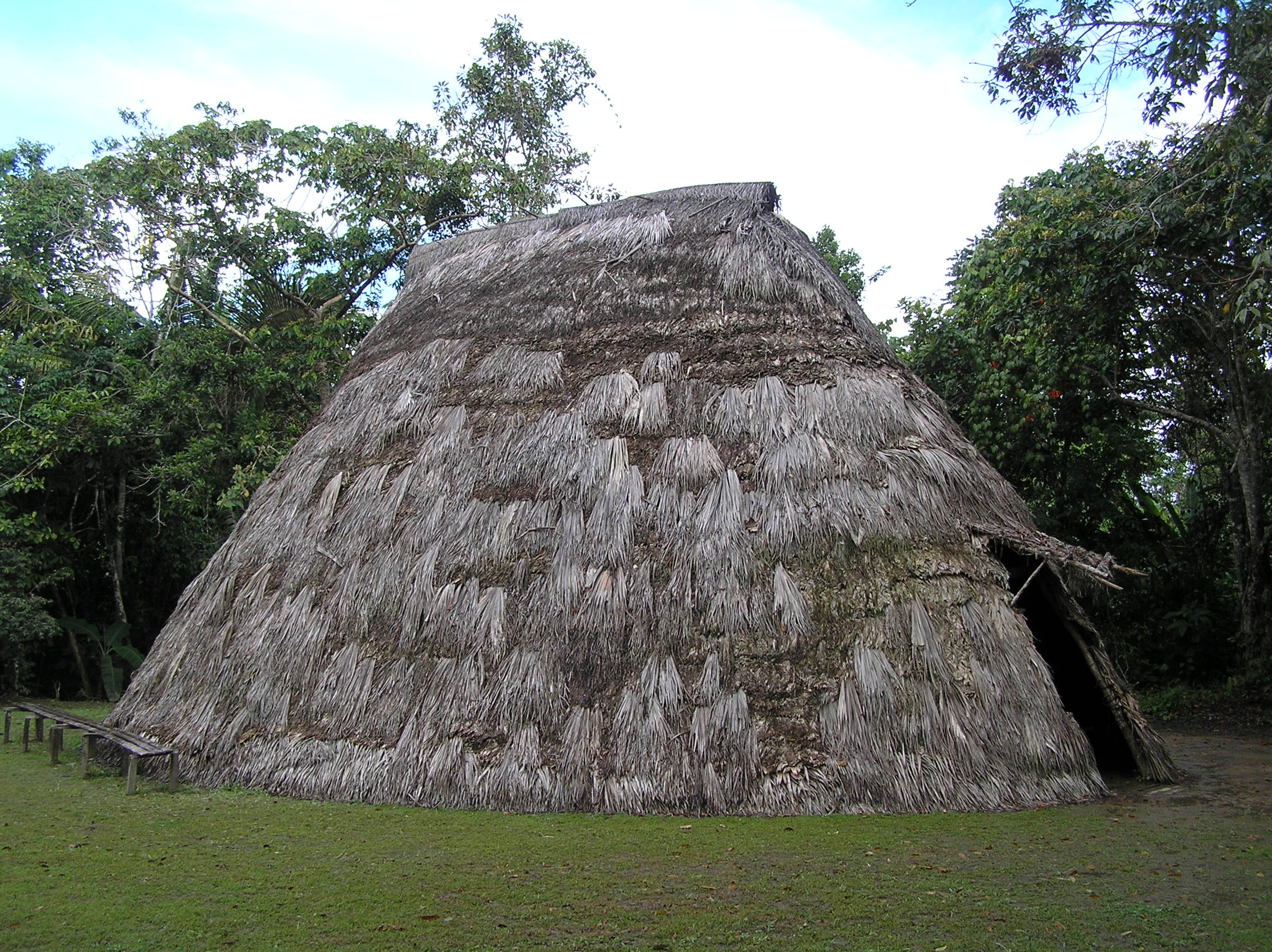 living museum amazonia rainforest outside iquitos peru