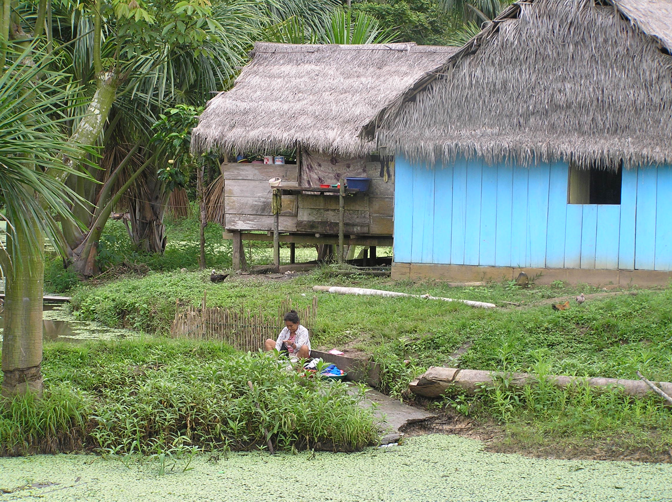 exploring amazonia river village rainforest peru