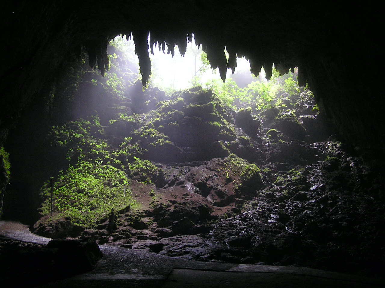 Río Camuy Cave Park