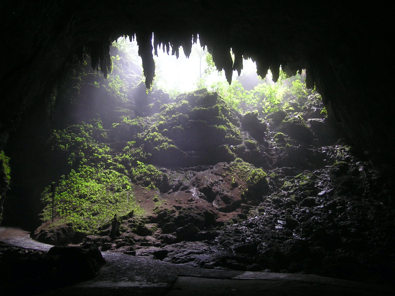 worth it camuy cave puerto rico