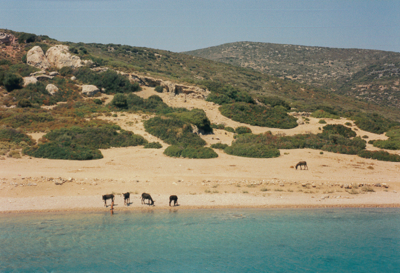 Donkey Island & the Blue Lagoon